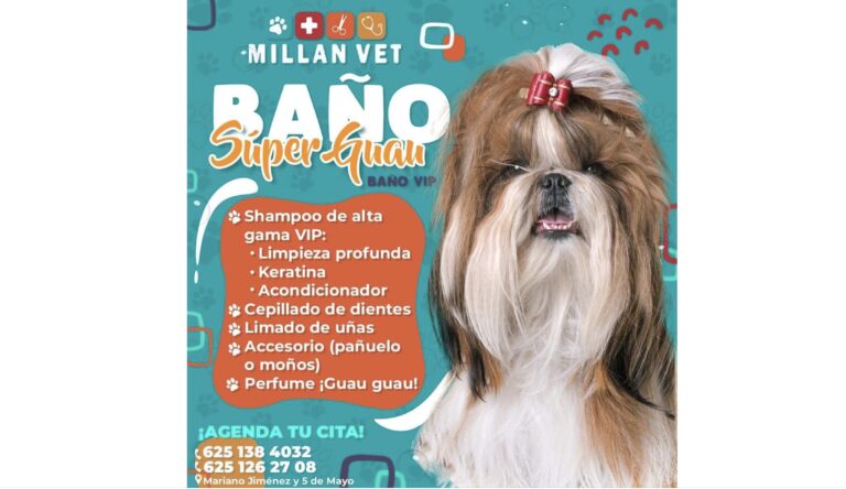 Imagen 24 02 26 a las 11.33 a.m. 2 768x444